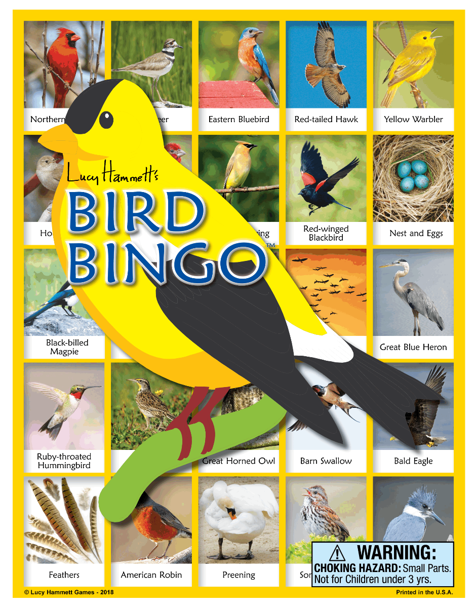 Bird Bingo