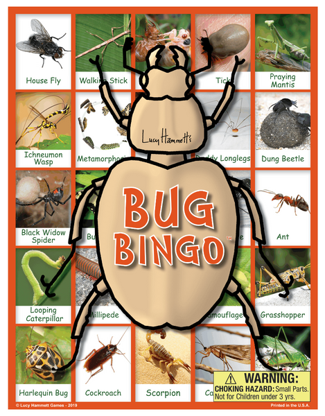 Bug Bingo